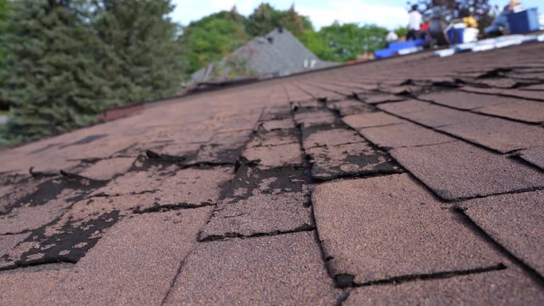 Best 4 Ply Roofing  in Elizabethtown, KY
