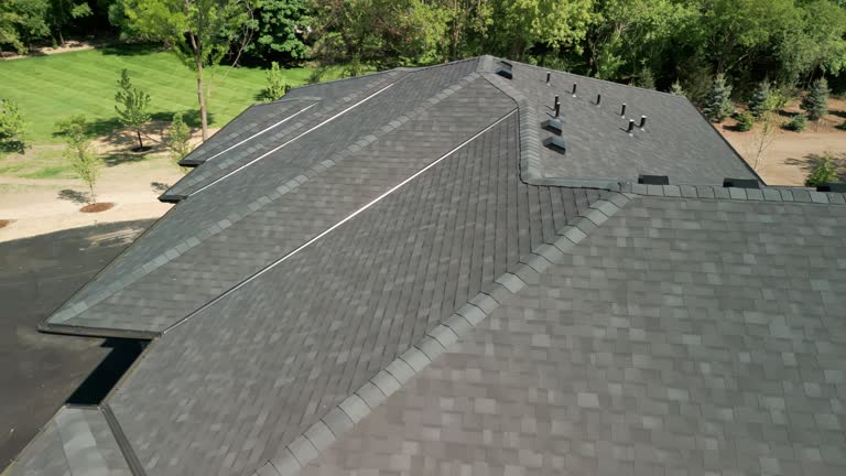 Best Roof Moss and Algae Removal  in Elizabethtown, KY