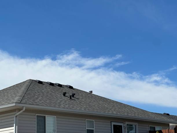 Best Sheet Metal Roofing  in Elizabethtown, KY