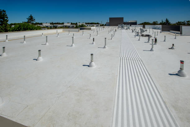 Best Roof Waterproofing  in Elizabethtown, KY